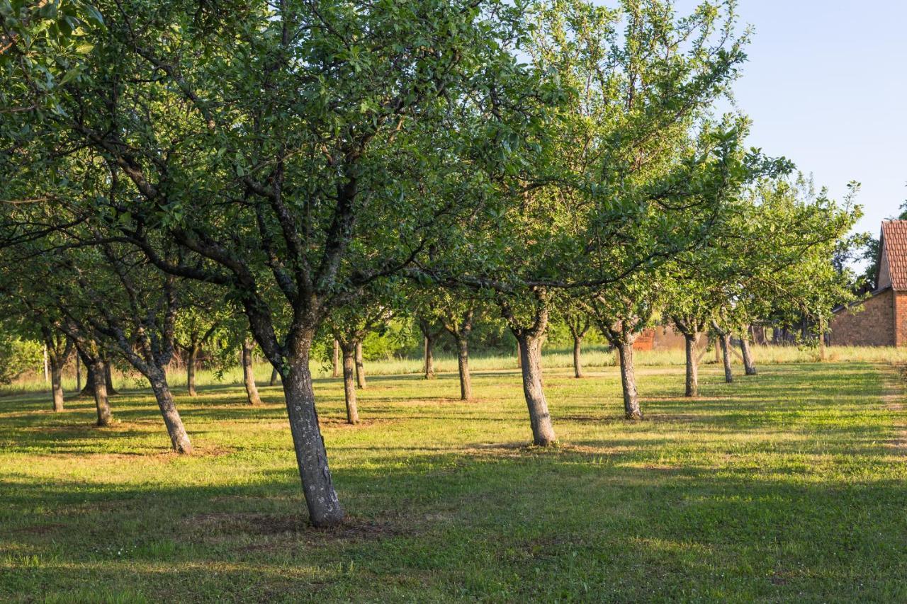 Village Wine House Mandicevac Zewnętrze zdjęcie