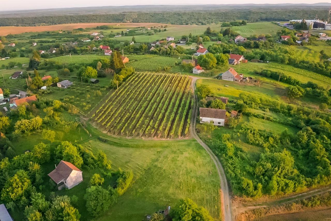 Village Wine House Mandicevac Zewnętrze zdjęcie