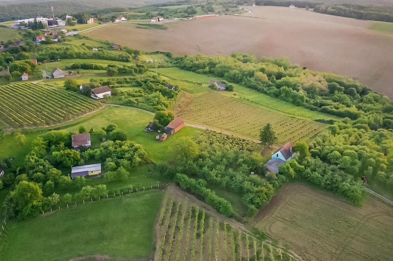 Village Wine House Mandicevac Zewnętrze zdjęcie
