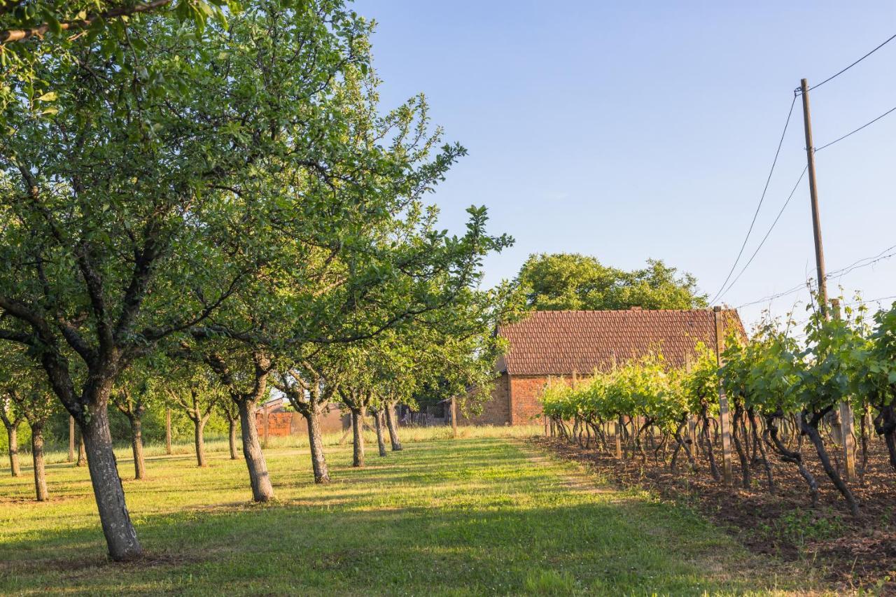 Village Wine House Mandicevac Zewnętrze zdjęcie