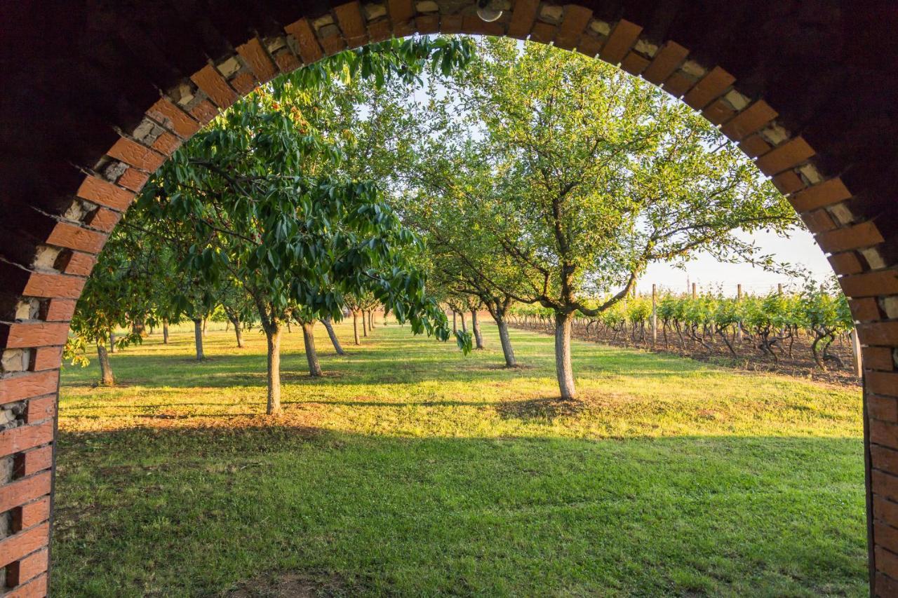 Village Wine House Mandicevac Zewnętrze zdjęcie