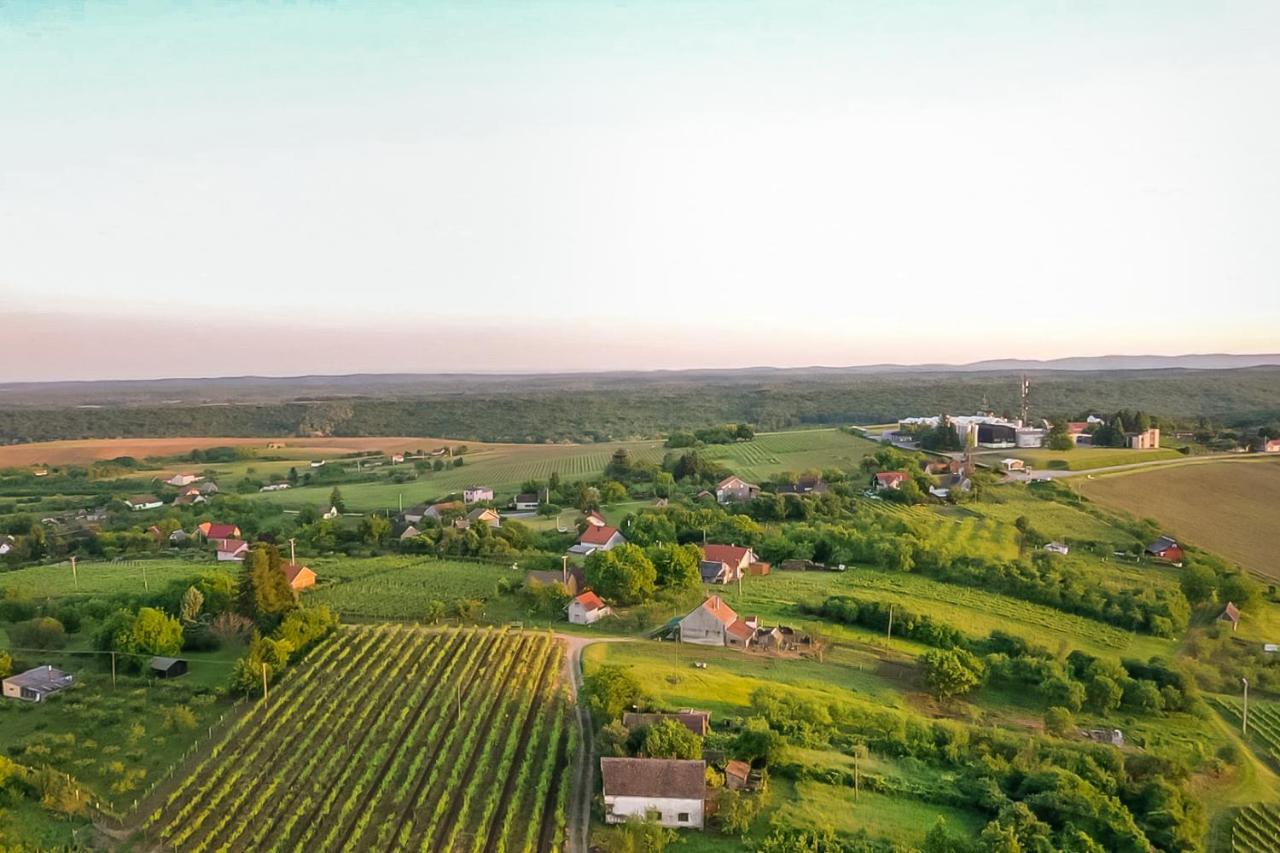 Village Wine House Mandicevac Zewnętrze zdjęcie