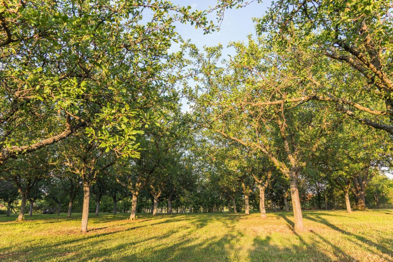Village Wine House Mandicevac Zewnętrze zdjęcie