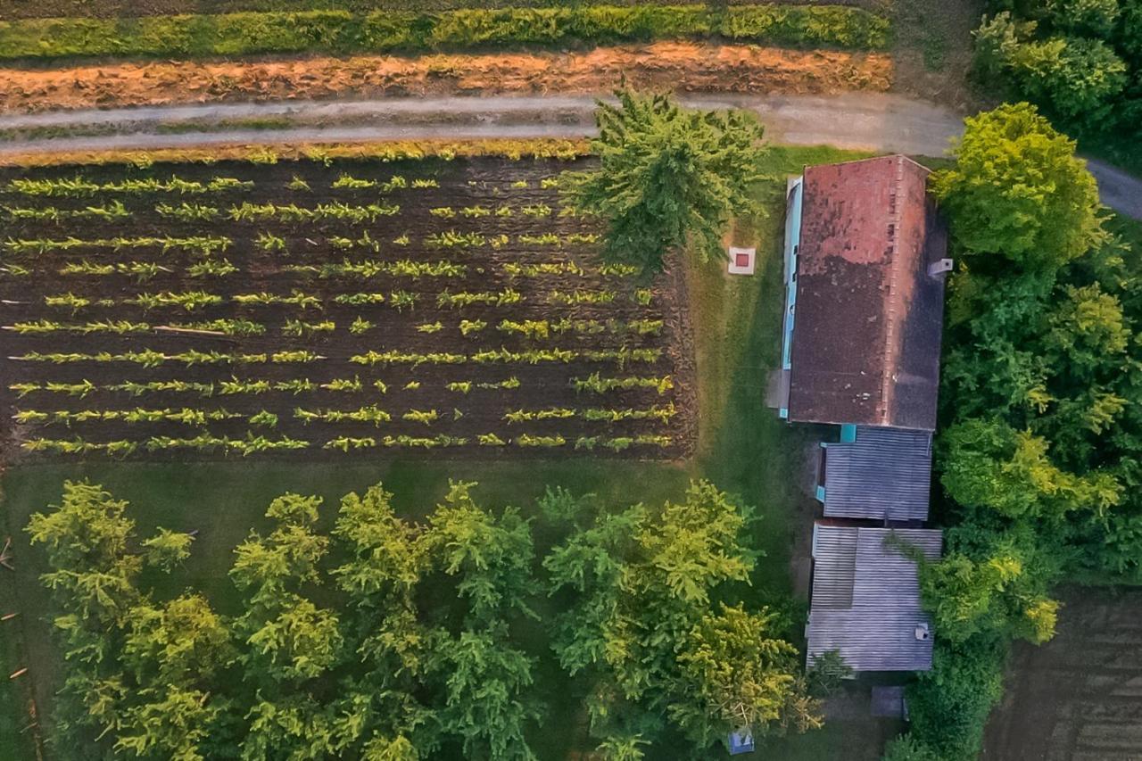 Village Wine House Mandicevac Zewnętrze zdjęcie