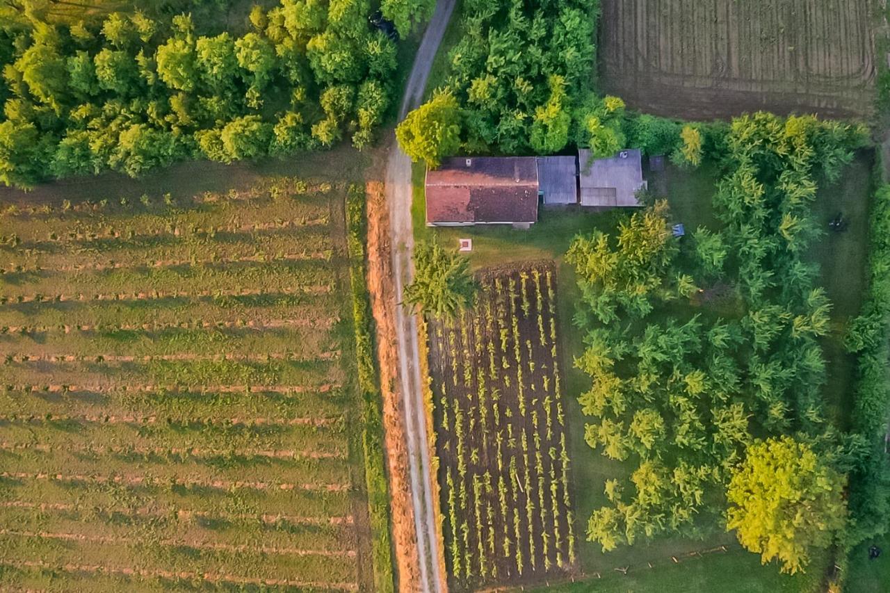 Village Wine House Mandicevac Zewnętrze zdjęcie