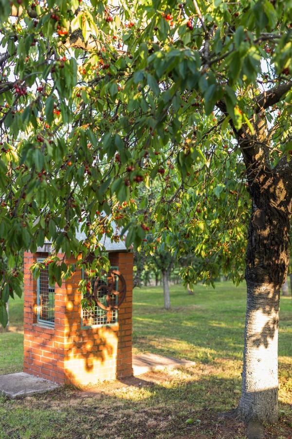 Village Wine House Mandicevac Zewnętrze zdjęcie