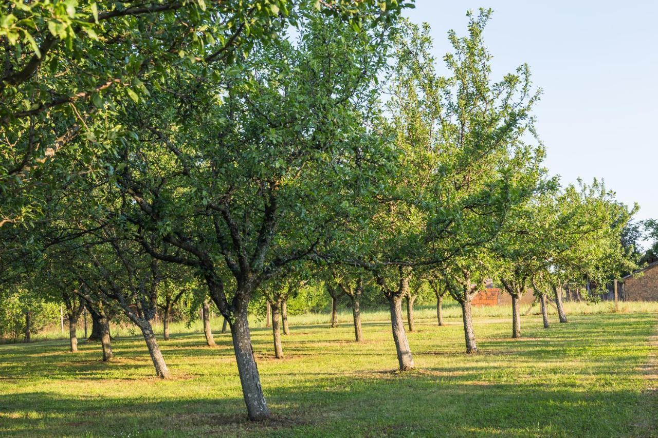 Village Wine House Mandicevac Zewnętrze zdjęcie