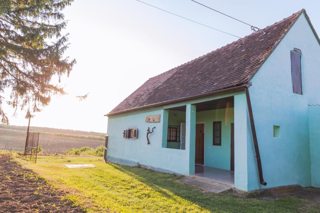 Village Wine House Mandicevac Zewnętrze zdjęcie