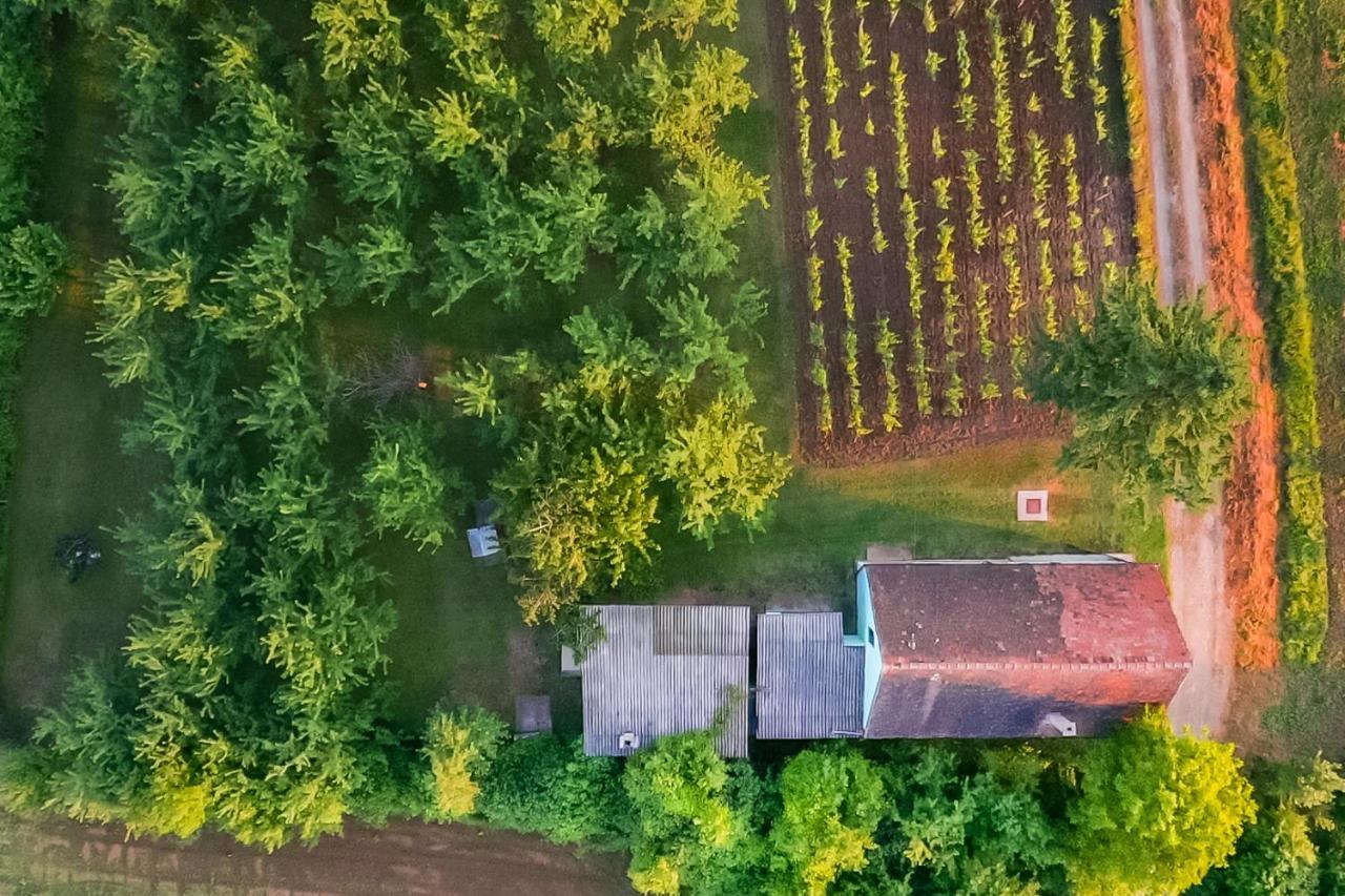 Village Wine House Mandicevac Zewnętrze zdjęcie