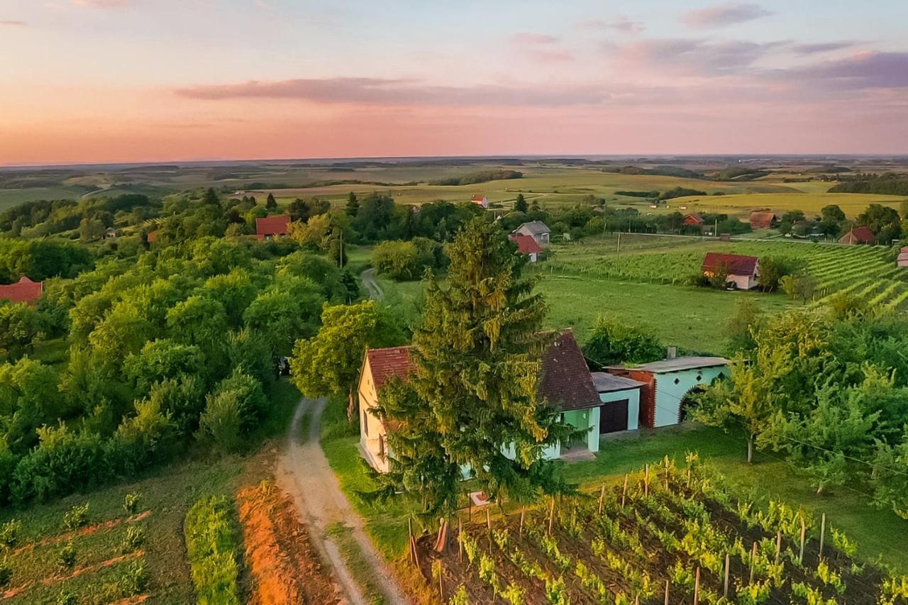 Village Wine House Mandicevac Zewnętrze zdjęcie