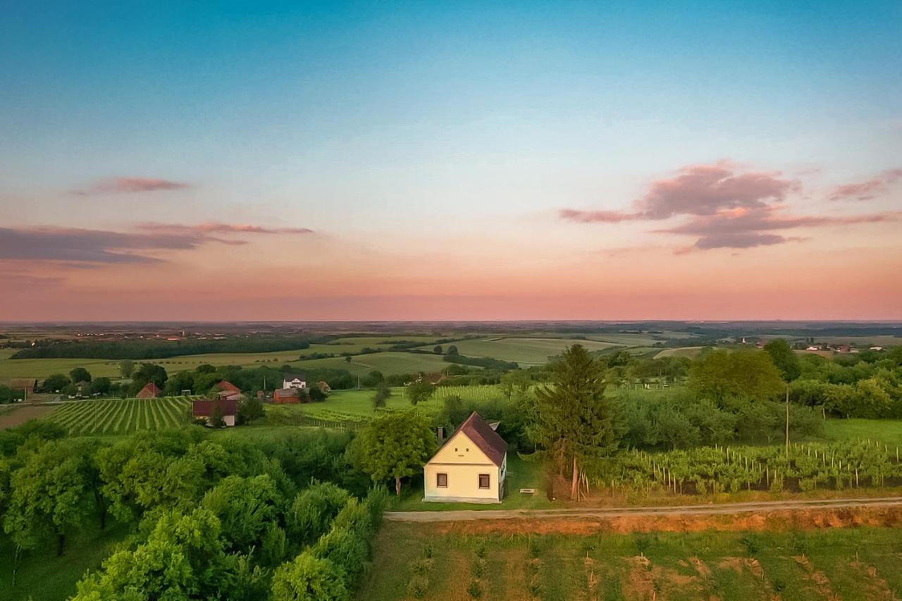 Village Wine House Mandicevac Zewnętrze zdjęcie