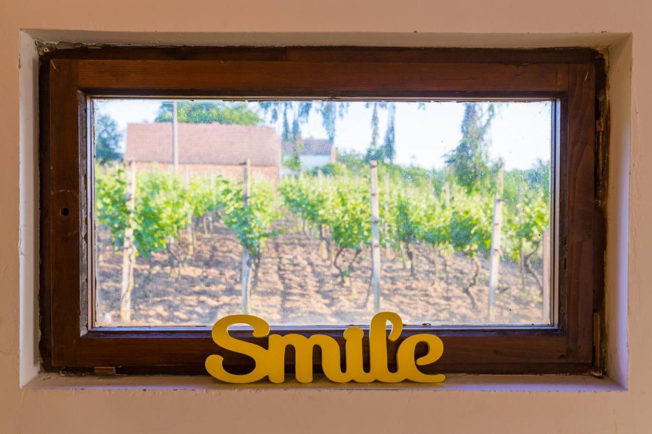 Village Wine House Mandicevac Zewnętrze zdjęcie