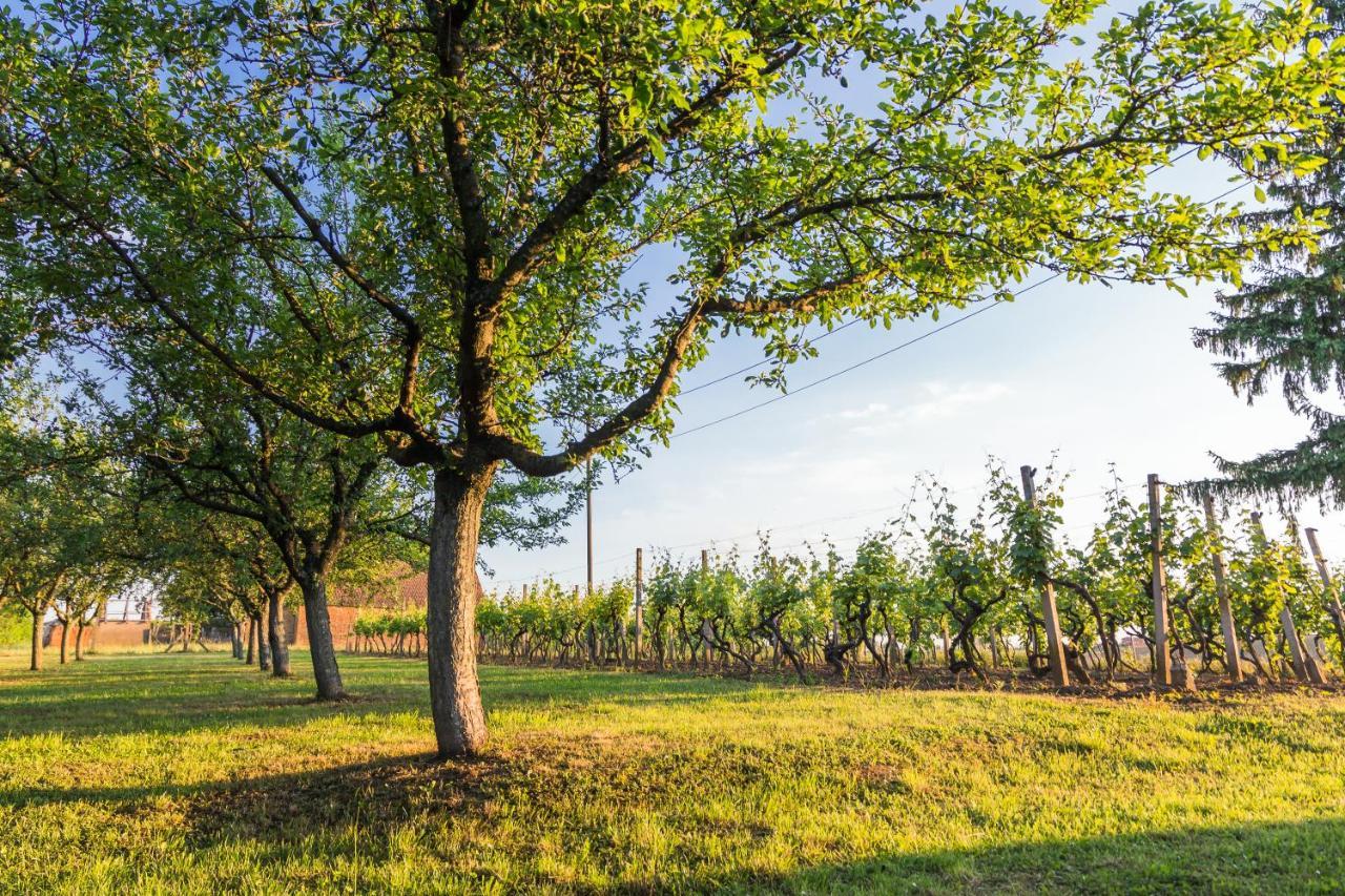 Village Wine House Mandicevac Zewnętrze zdjęcie