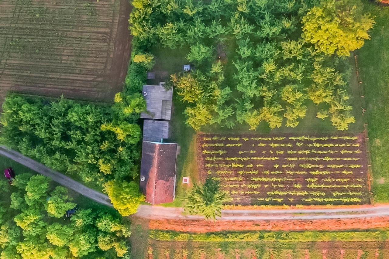 Village Wine House Mandicevac Zewnętrze zdjęcie