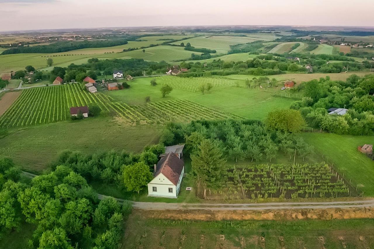 Village Wine House Mandicevac Zewnętrze zdjęcie